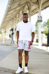 AAMU Big Logo Mesh Shorts (GRAY)