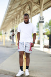 AAMU Big Logo Mesh Shorts (GRAY)