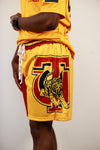 Tuskegee Half and Half Shorts (Crimson/Gold)