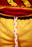 Tuskegee Big Logo Shorts (Gold)