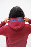 Embroidered SC State Hoodie Dress