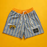 Alabama State Big Pinstripe Shorts in Steel Gray
