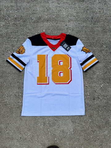 UAPB Established Date Jersey