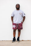 Texas Southern "TSU All Over" Tee in Heather Gray (PREMIUM)