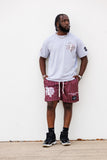 Texas Southern "TSU All Over" Tee in Heather Gray (PREMIUM)