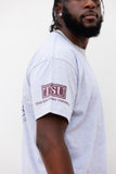 Texas Southern "TSU All Over" Tee in Heather Gray (PREMIUM)