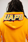 Embroidered Arkansas Pine Bluff Hoodie Dress