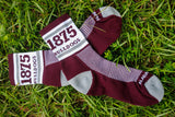 AAMU Bulldog Tube Socks