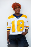 North Carolina A&T CROPPED Established Date Jersey (PREORDER)