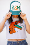 FAMU Embroidered premium cropped tee (GRAY)