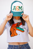 FAMU Embroidered premium cropped tee (GRAY)