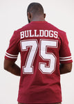 AAMU Bulldogs Established Date Jersey