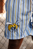 Alabama State Big Pinstripe Shorts in Steel Gray
