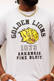 UAPB Arc Tee Heather Gray