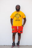 UAPB Pinstripe Shorts