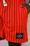 UAPB Pinstripe Shorts