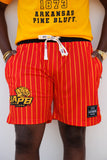 UAPB Pinstripe Shorts