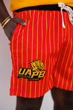 UAPB Pinstripe Shorts