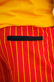 UAPB Pinstripe Shorts