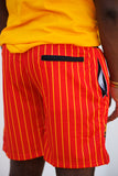 UAPB Pinstripe Shorts