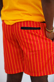 UAPB Pinstripe Shorts