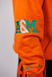 FAMU Embroidered "Building Champions" Hoodie