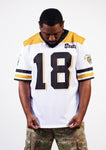Alabama State Established Date Jersey