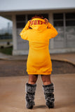 Embroidered Grambling Hoodie Dress