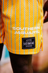 Southern Pinstripe Shorts