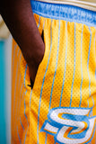 Southern Pinstripe Shorts