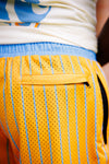 Southern Pinstripe Shorts