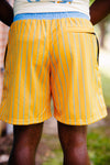 Southern Pinstripe Shorts