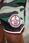 AAMU Embroidered 150th Anniversary Shorts